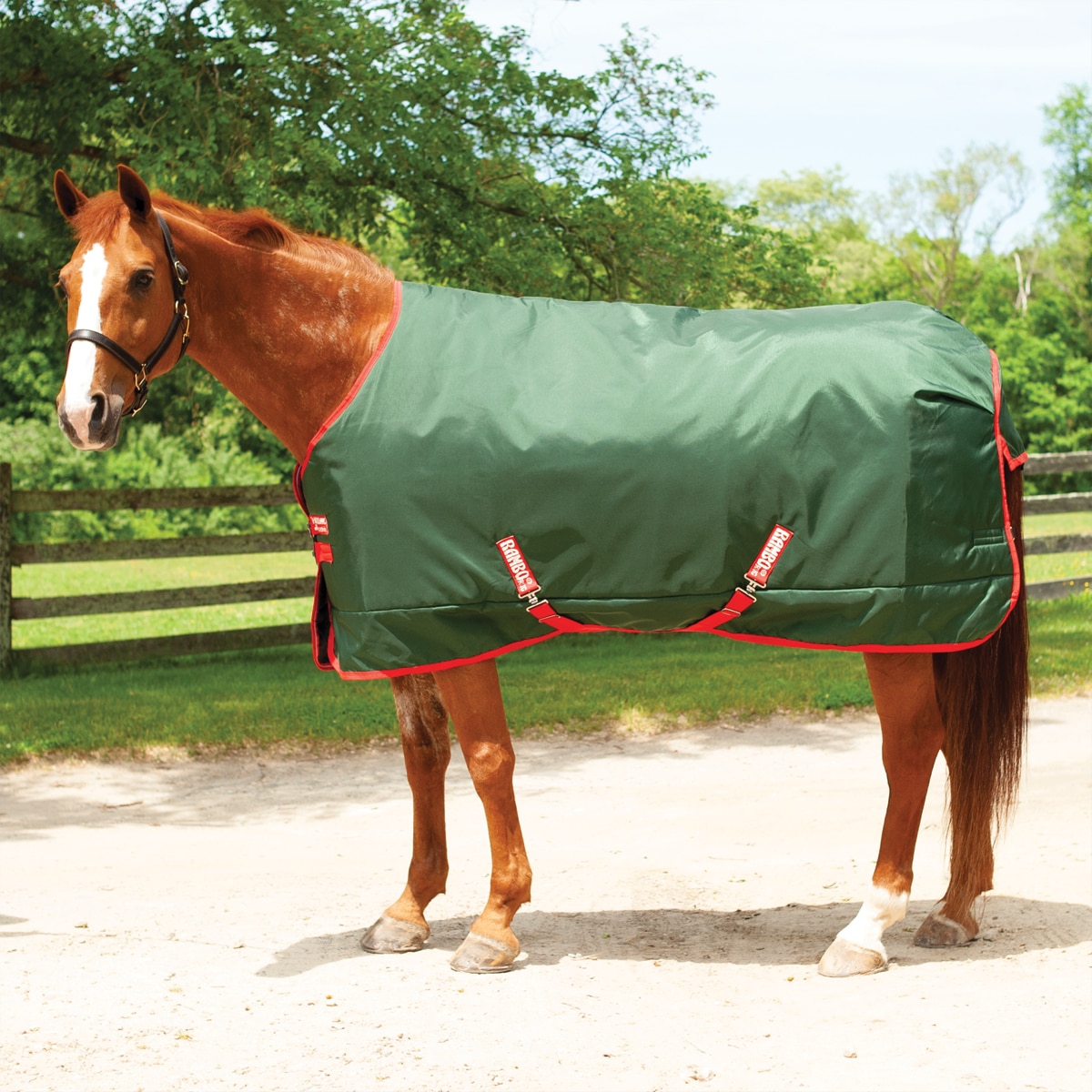 Detail Rambo Horse Blanket Nomer 9
