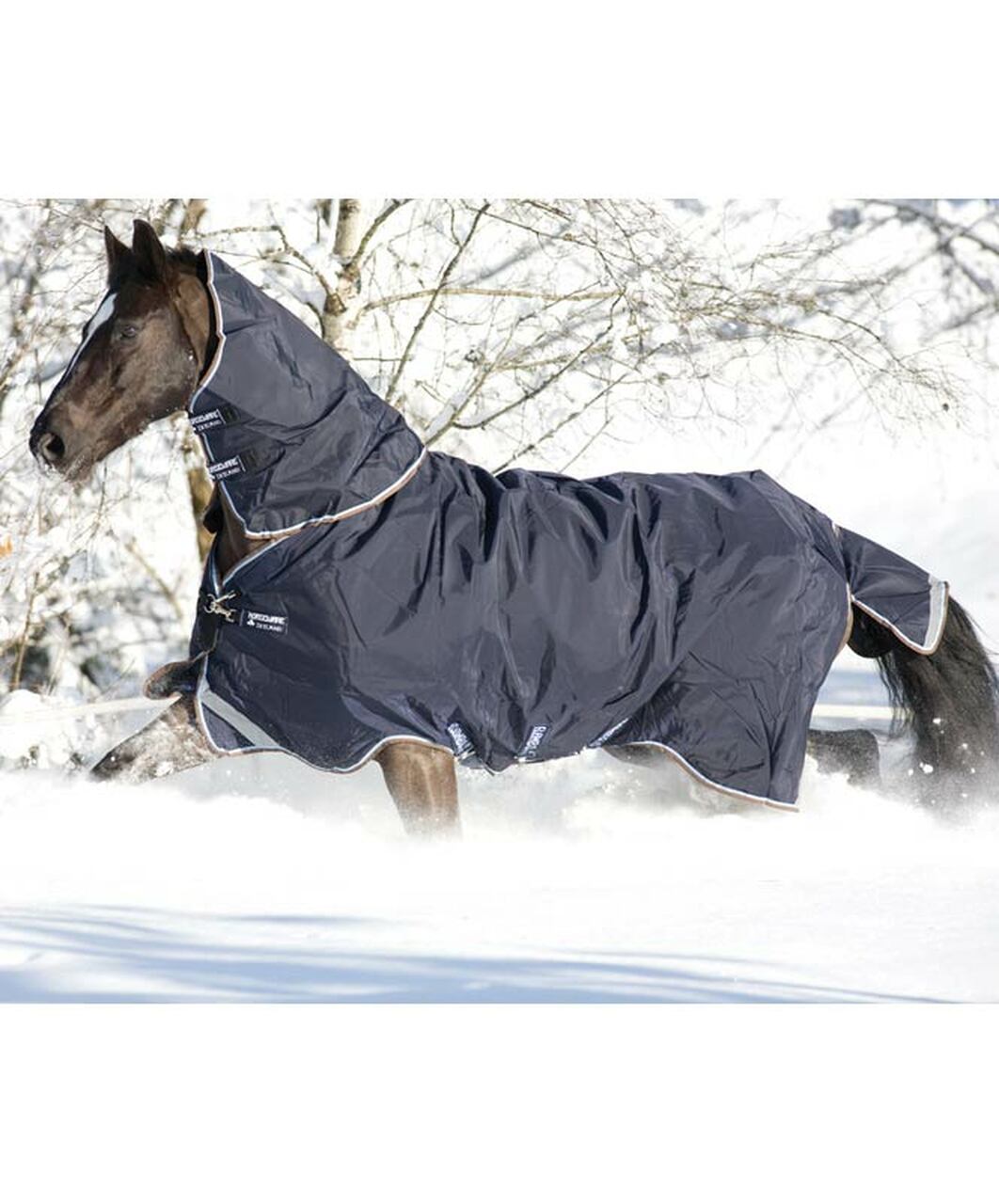 Detail Rambo Horse Blanket Nomer 11