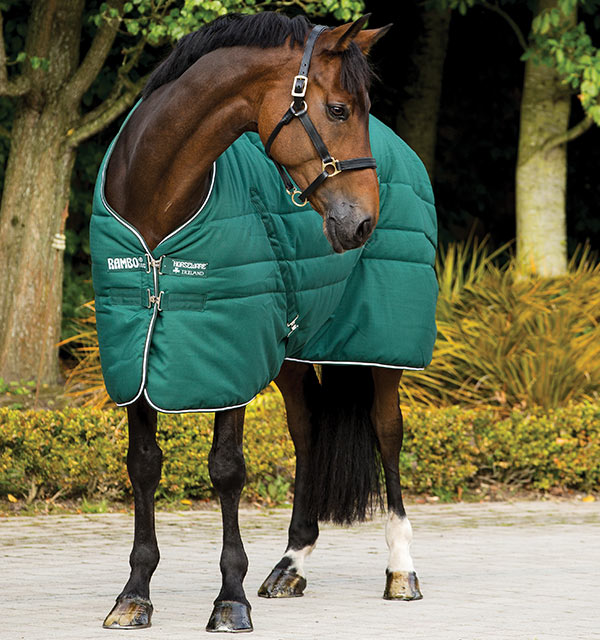 Detail Rambo Horse Blanket Nomer 12