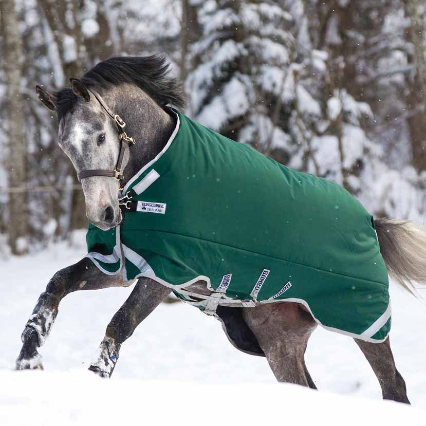 Detail Rambo Horse Blanket Nomer 13