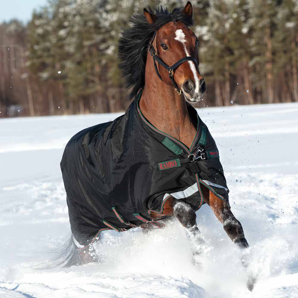 Detail Rambo Horse Blanket Nomer 15