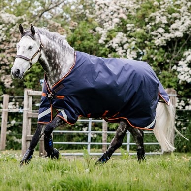 Detail Rambo Horse Blanket Nomer 17
