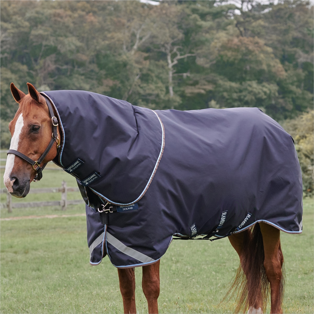 Detail Rambo Horse Blanket Nomer 19