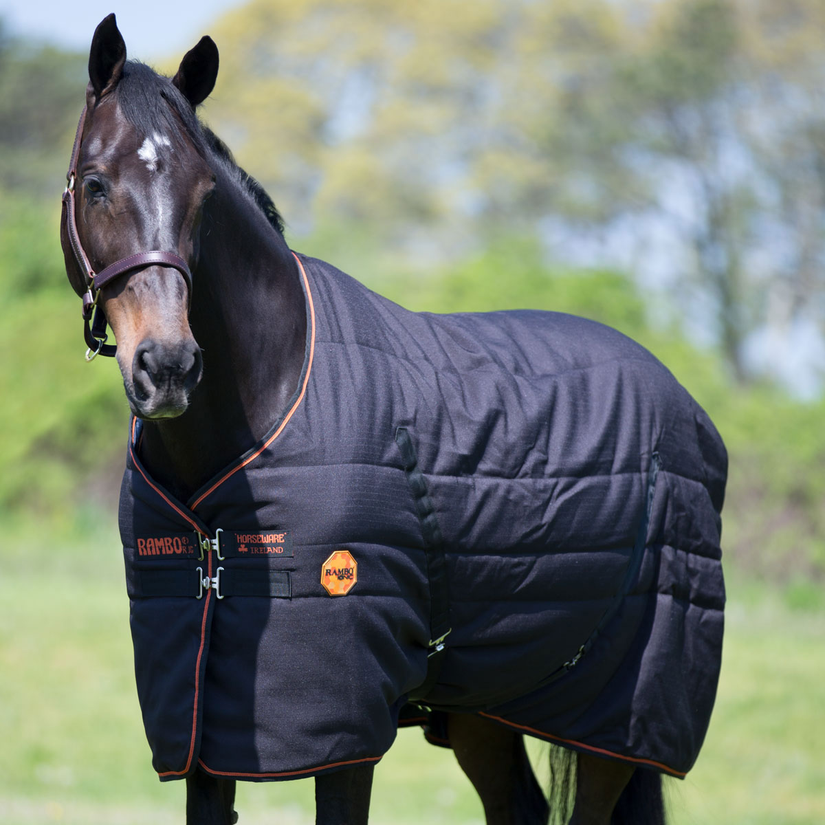 Detail Rambo Horse Blanket Nomer 20