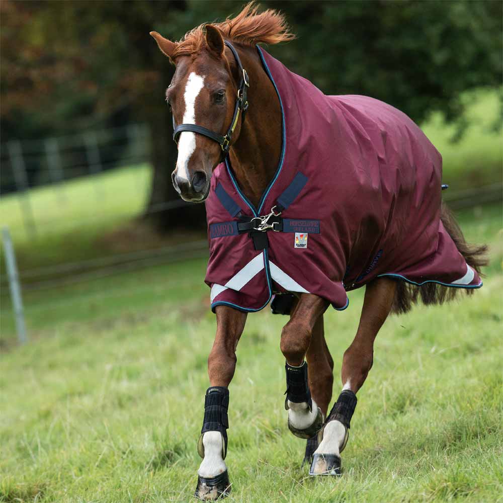 Detail Rambo Horse Blanket Nomer 21