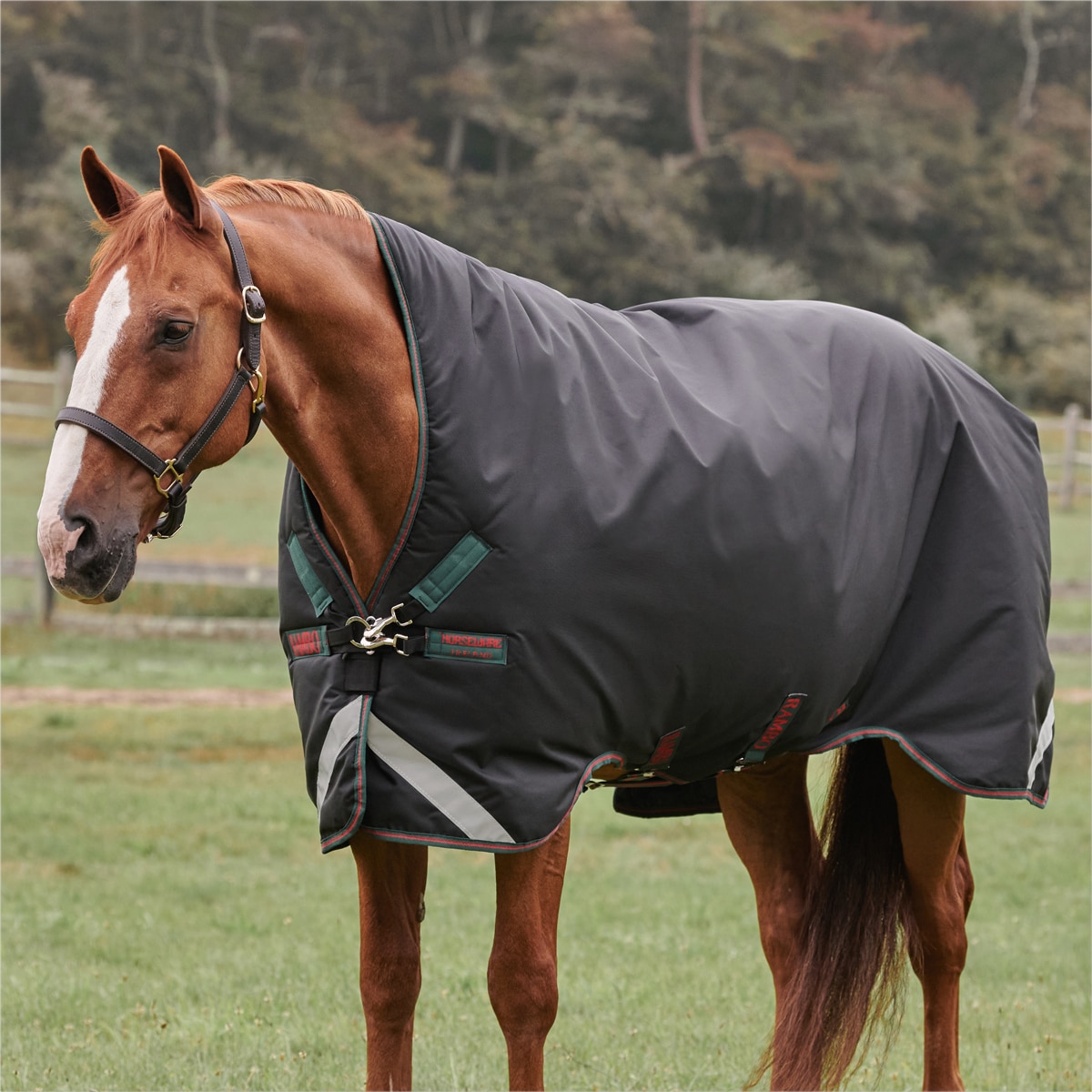 Detail Rambo Horse Blanket Nomer 24
