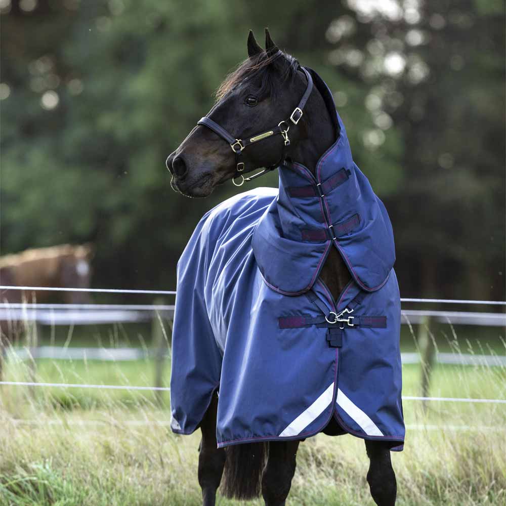 Detail Rambo Horse Blanket Nomer 27
