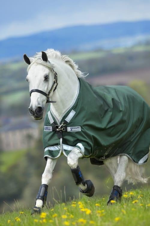 Detail Rambo Horse Blanket Nomer 28