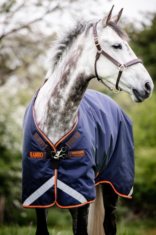 Detail Rambo Horse Blanket Nomer 29