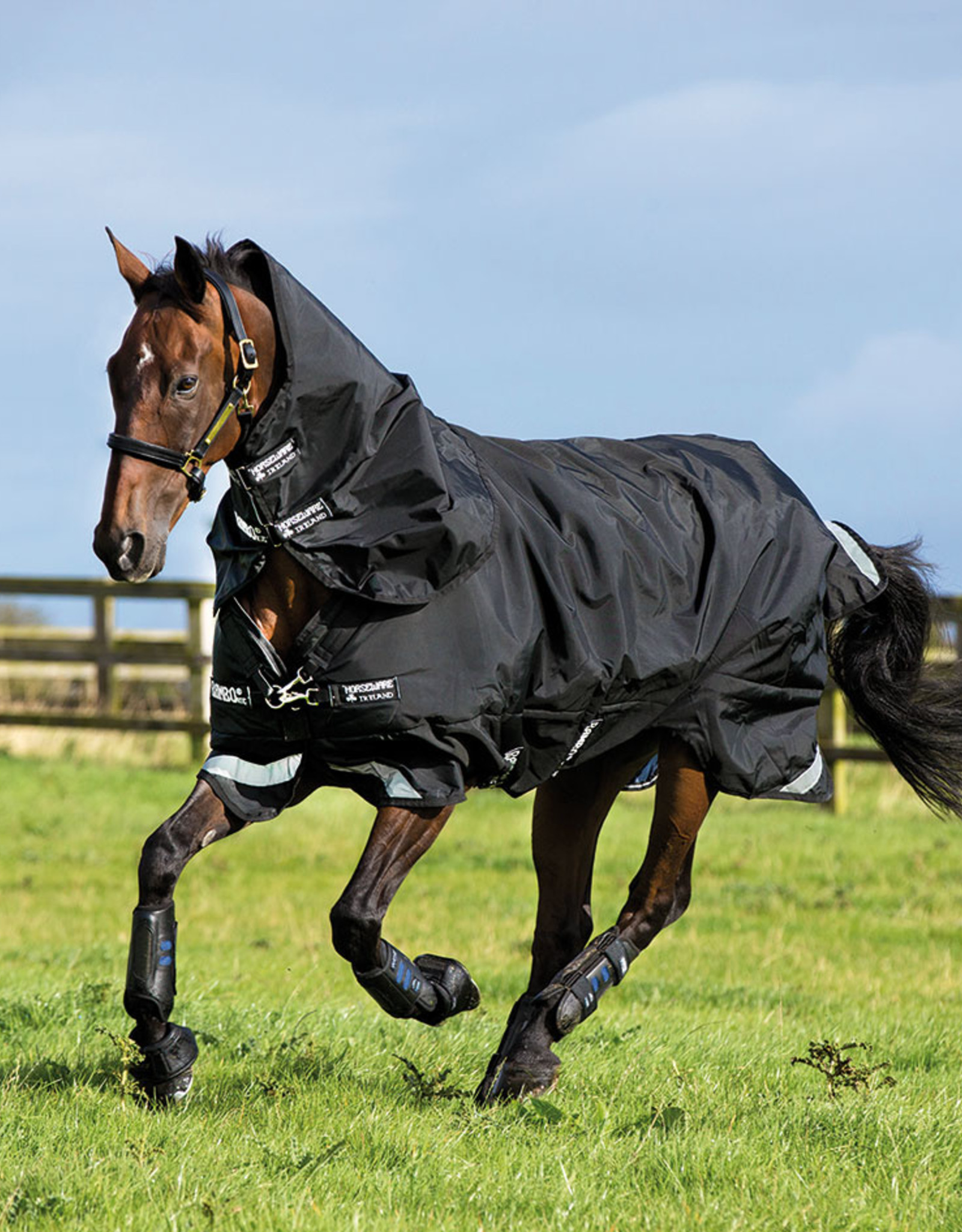 Detail Rambo Horse Blanket Nomer 30