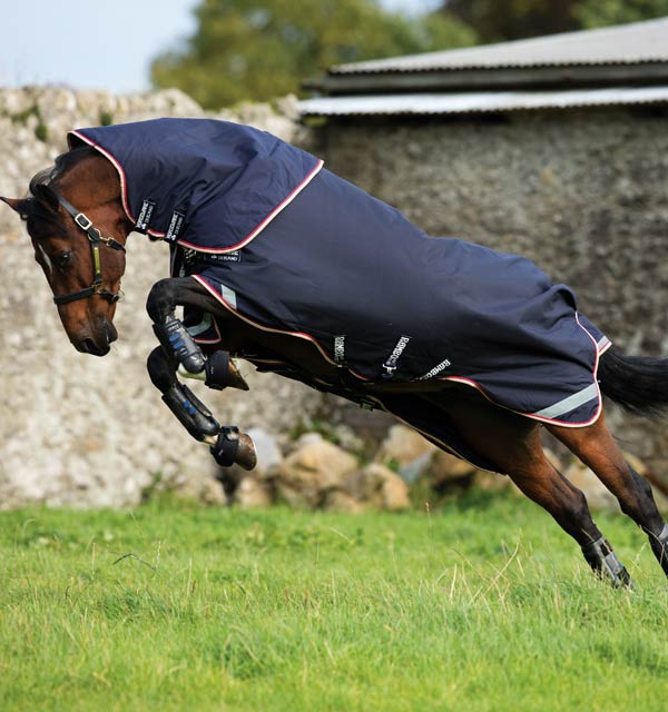 Detail Rambo Horse Blanket Nomer 31