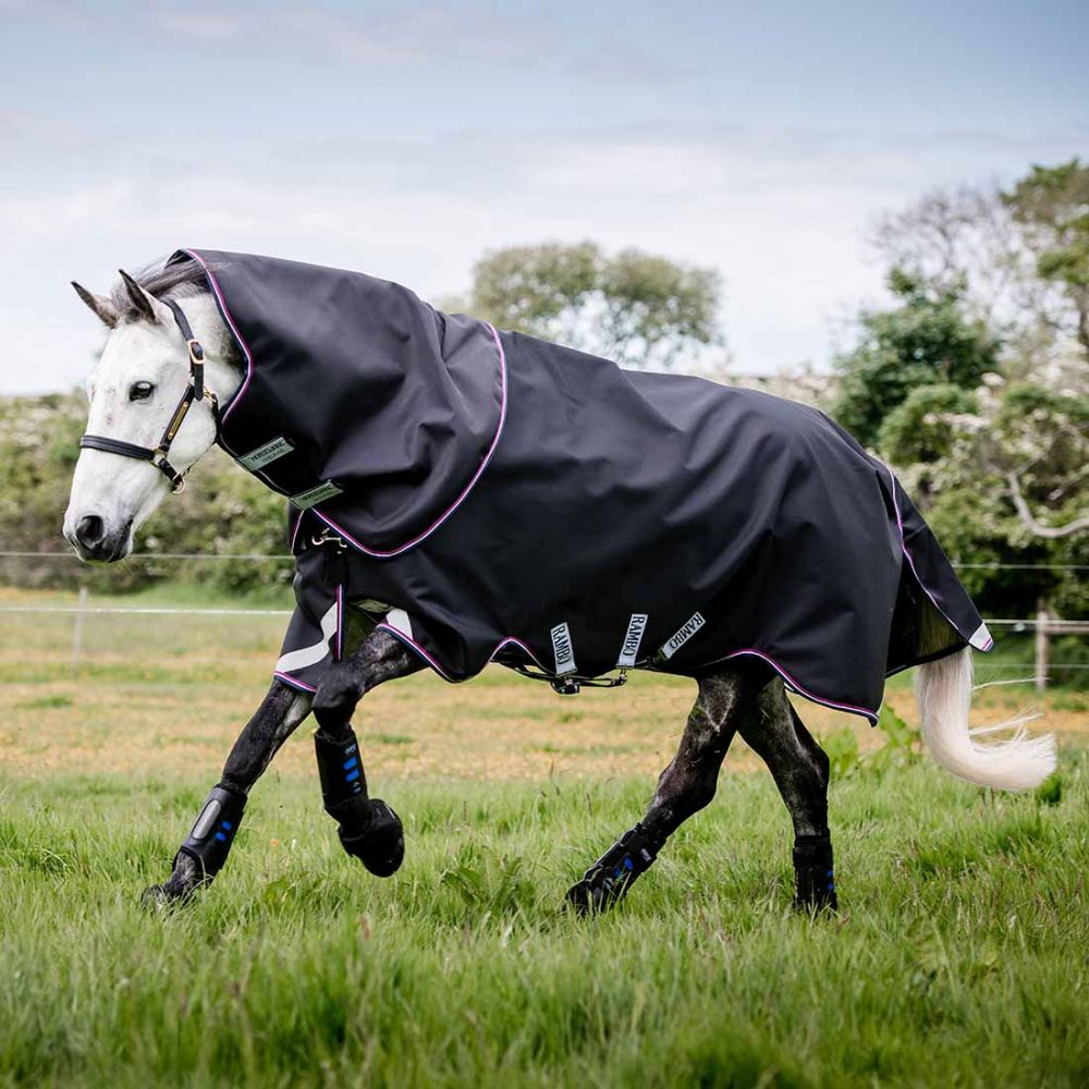Detail Rambo Horse Blanket Nomer 33
