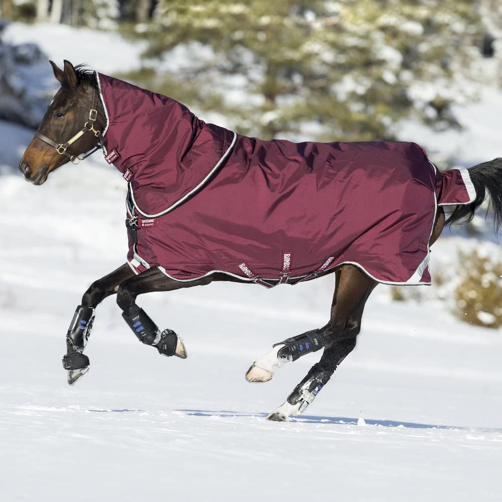 Detail Rambo Horse Blanket Nomer 36