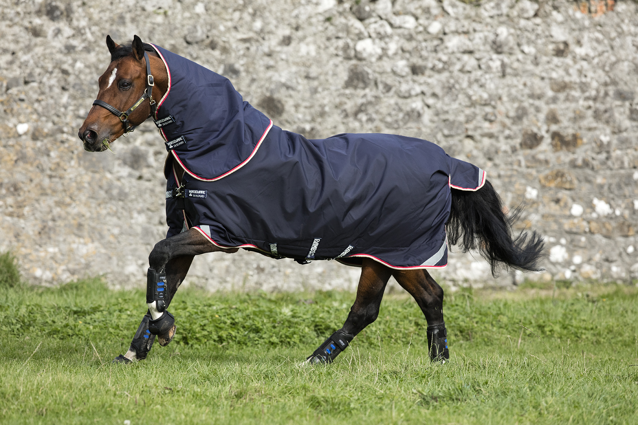 Detail Rambo Horse Blanket Nomer 37