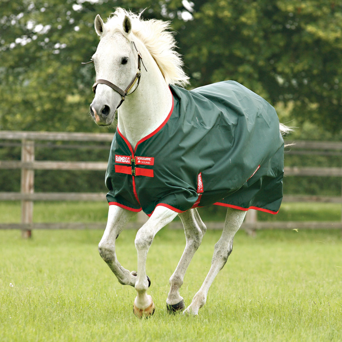 Detail Rambo Horse Blanket Nomer 4