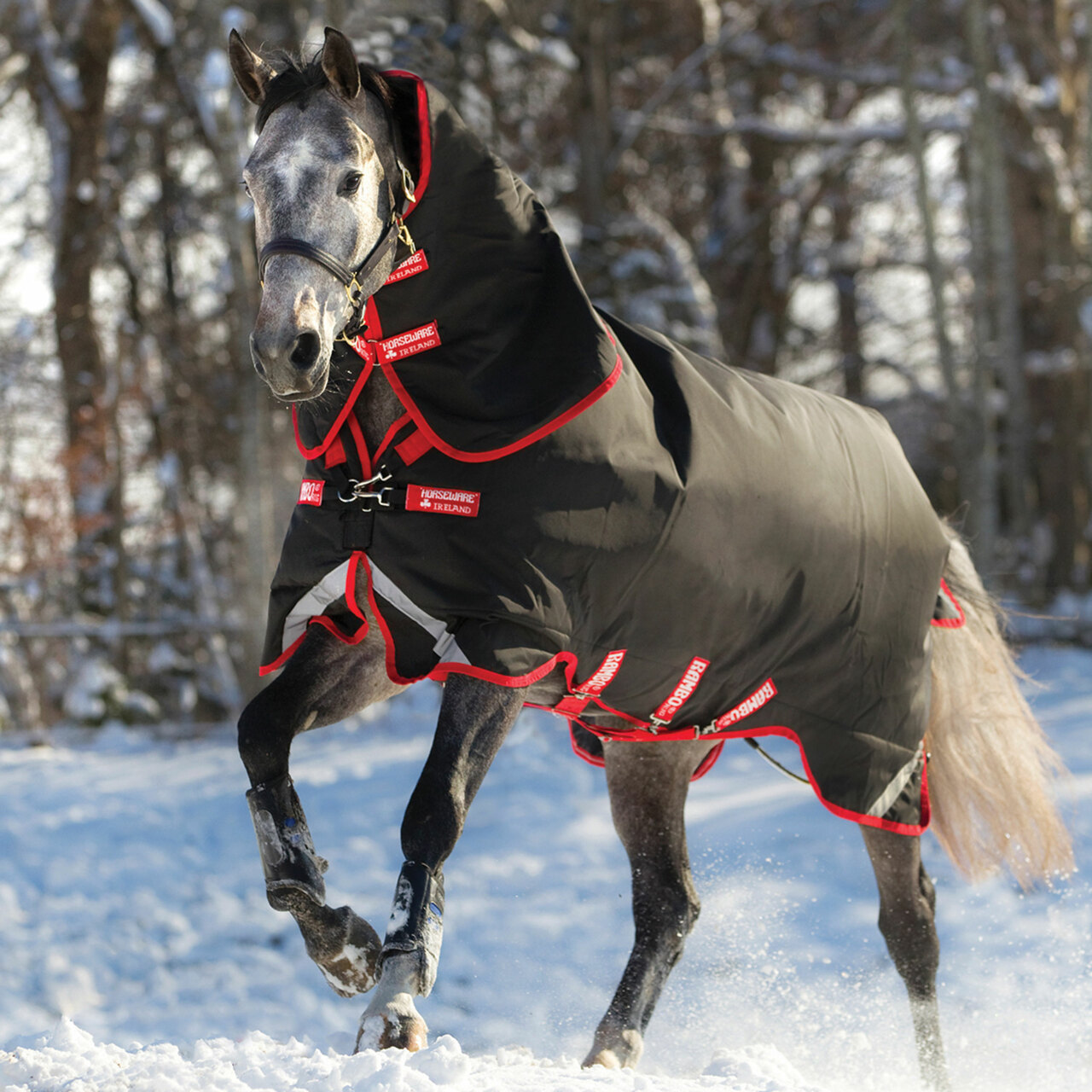 Detail Rambo Horse Blanket Nomer 40