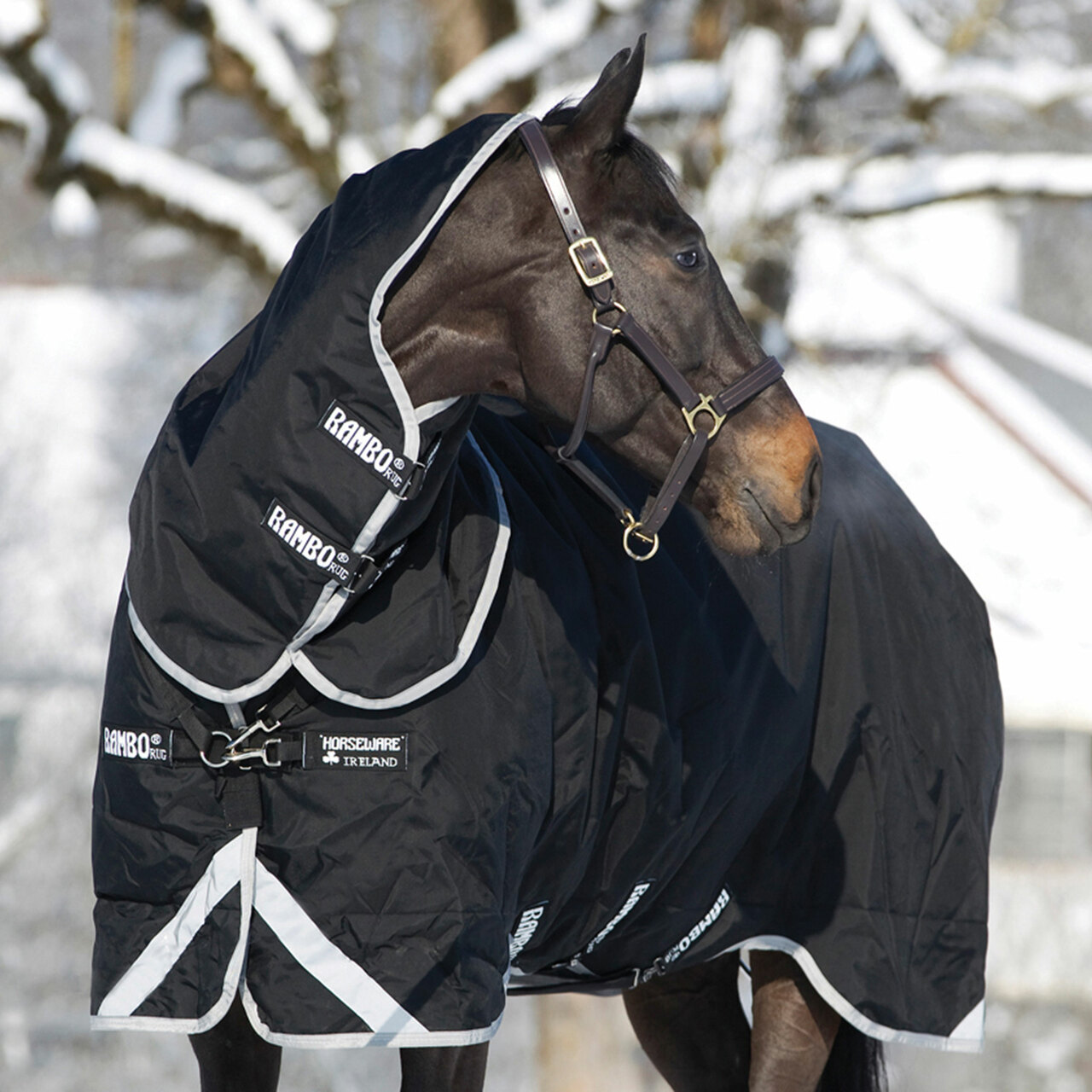 Detail Rambo Horse Blanket Nomer 43