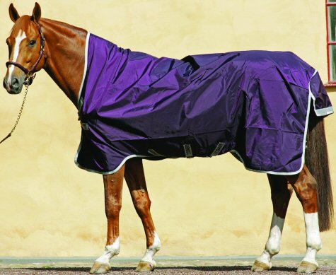 Detail Rambo Horse Blanket Nomer 45