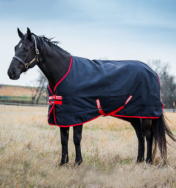 Detail Rambo Horse Blanket Nomer 5