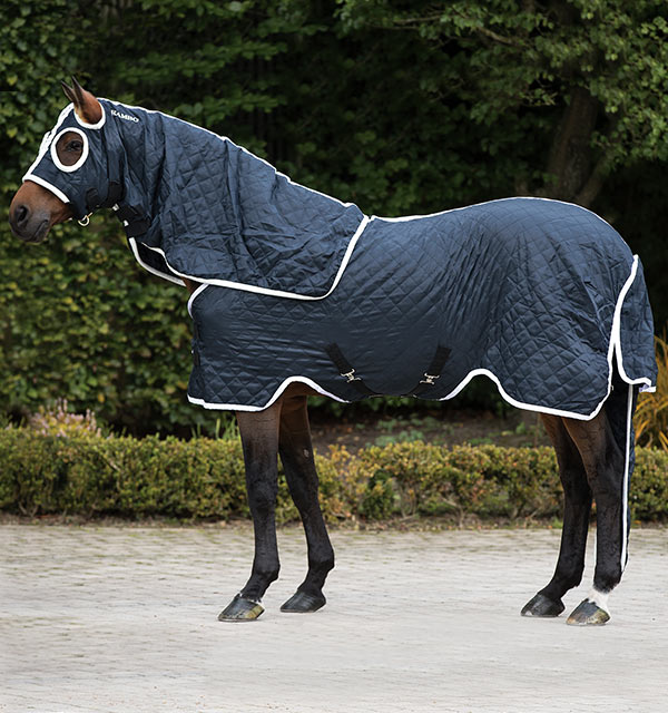 Detail Rambo Horse Blanket Nomer 8