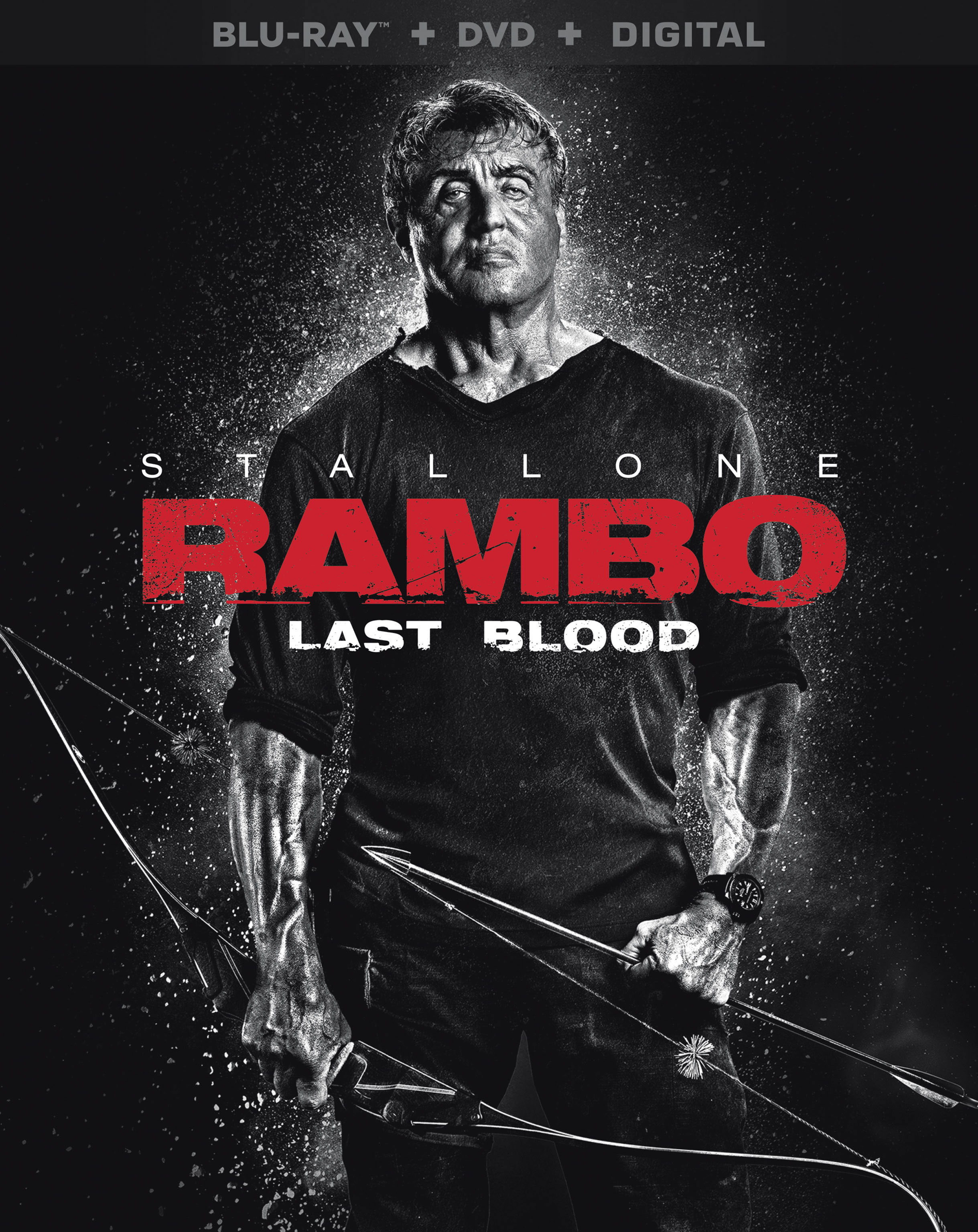 Detail Rambo Images Nomer 45