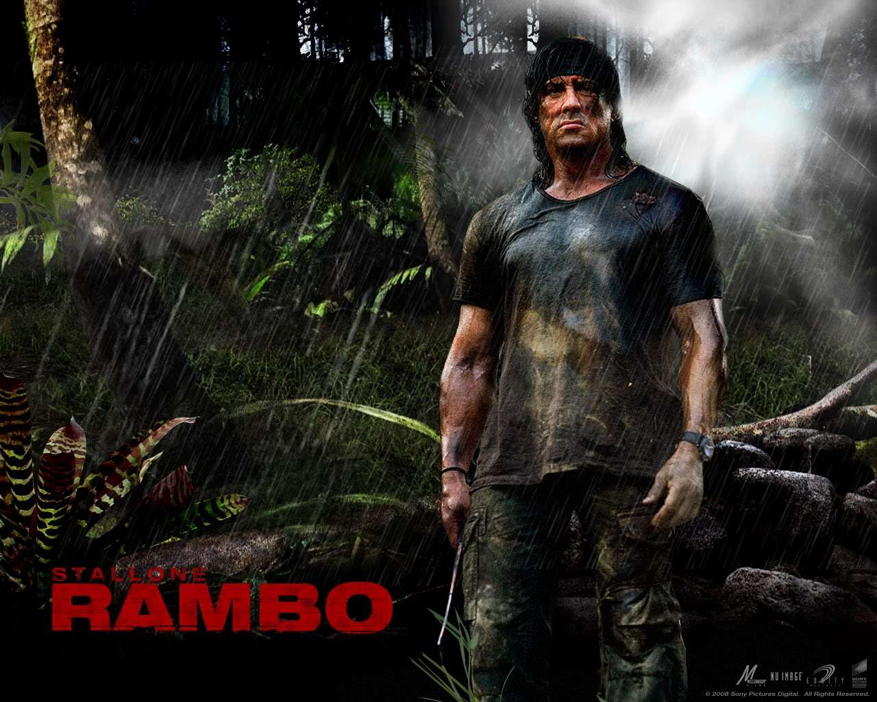 Detail Rambo Wallpaper Nomer 8
