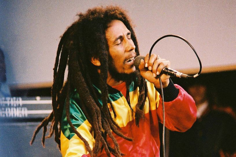 Detail Rambut Bob Marley Nomer 3