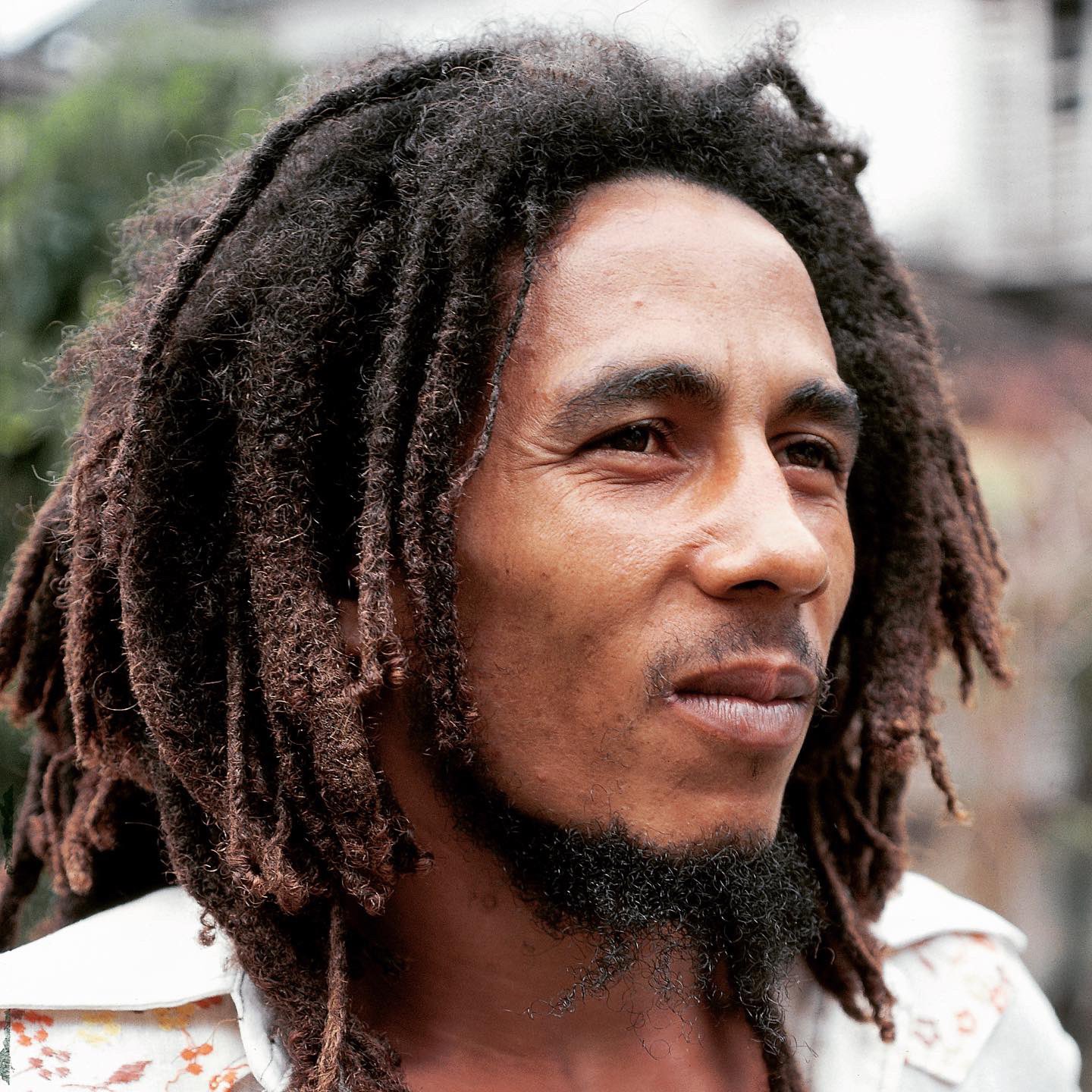 Detail Rambut Bob Marley Nomer 13