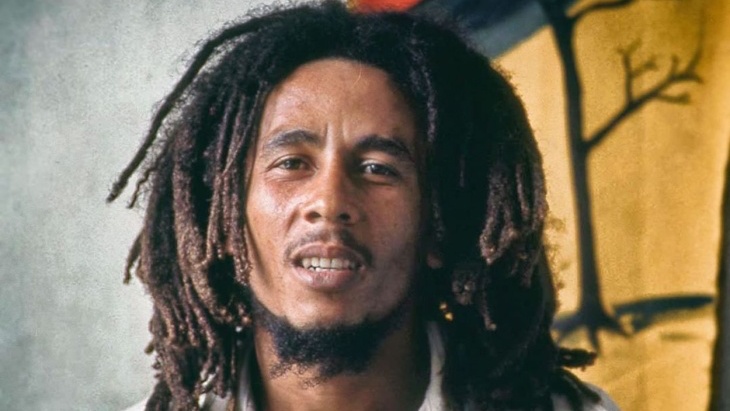 Detail Rambut Bob Marley Nomer 21