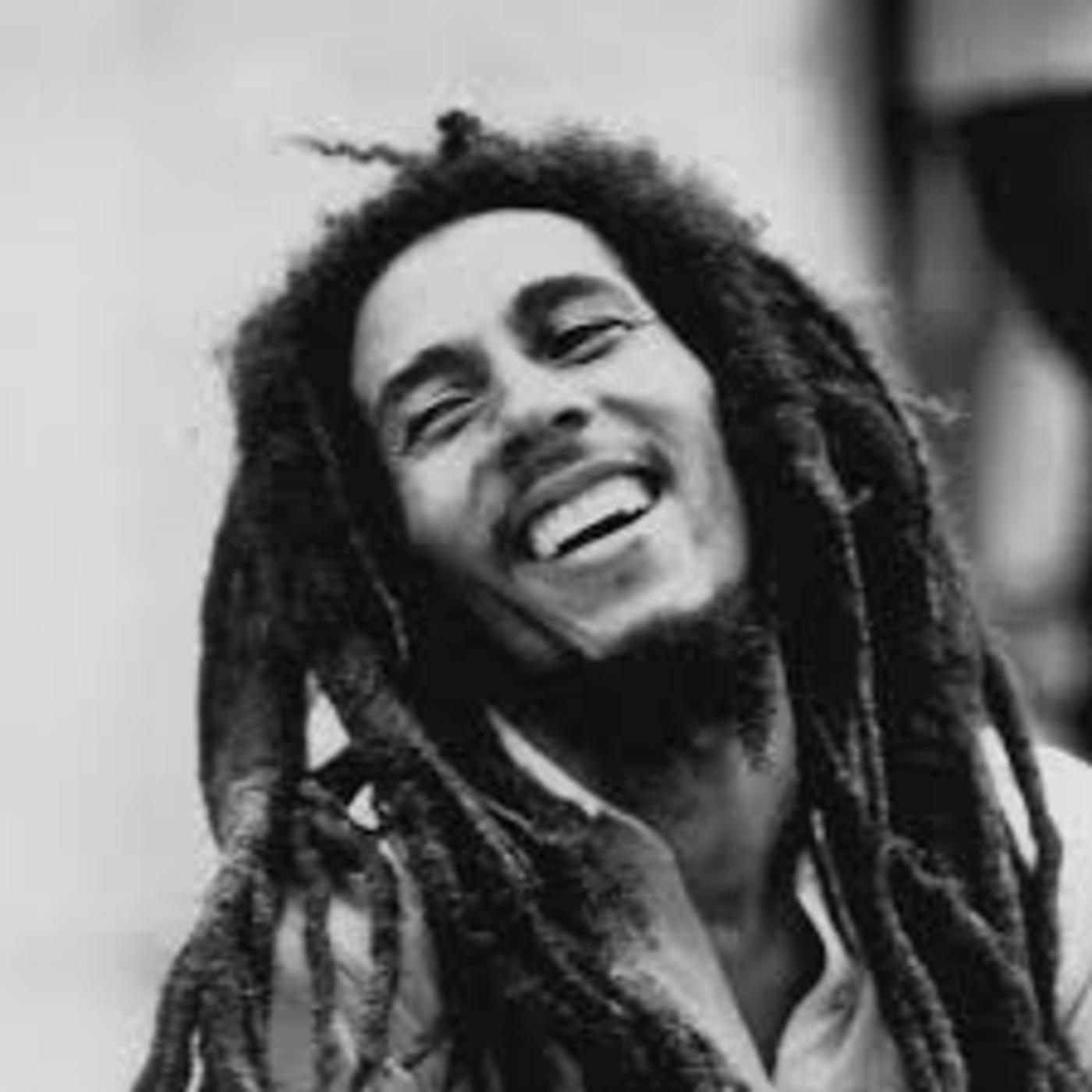 Detail Rambut Bob Marley Nomer 24