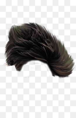 Detail Rambut Pria Png Nomer 10