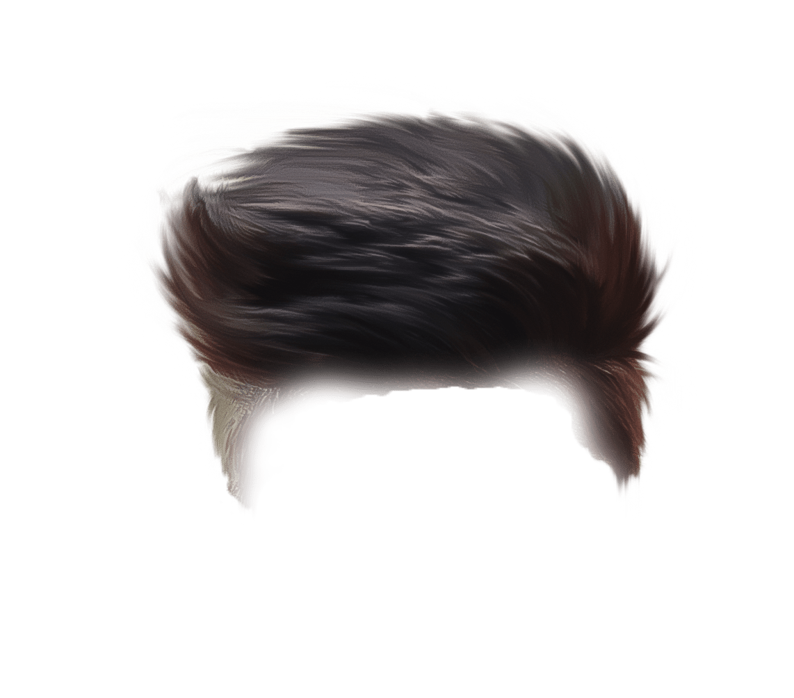 Detail Rambut Pria Png Nomer 28