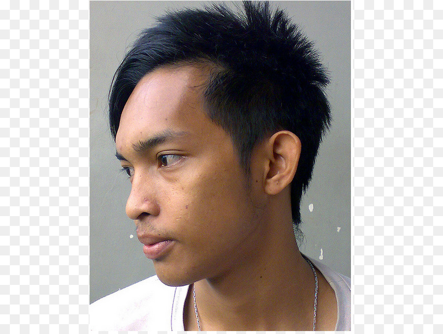 Detail Rambut Pria Png Nomer 46