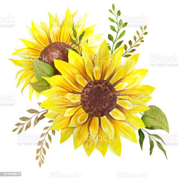 Detail Rangkaian Bunga Matahari Nomer 24