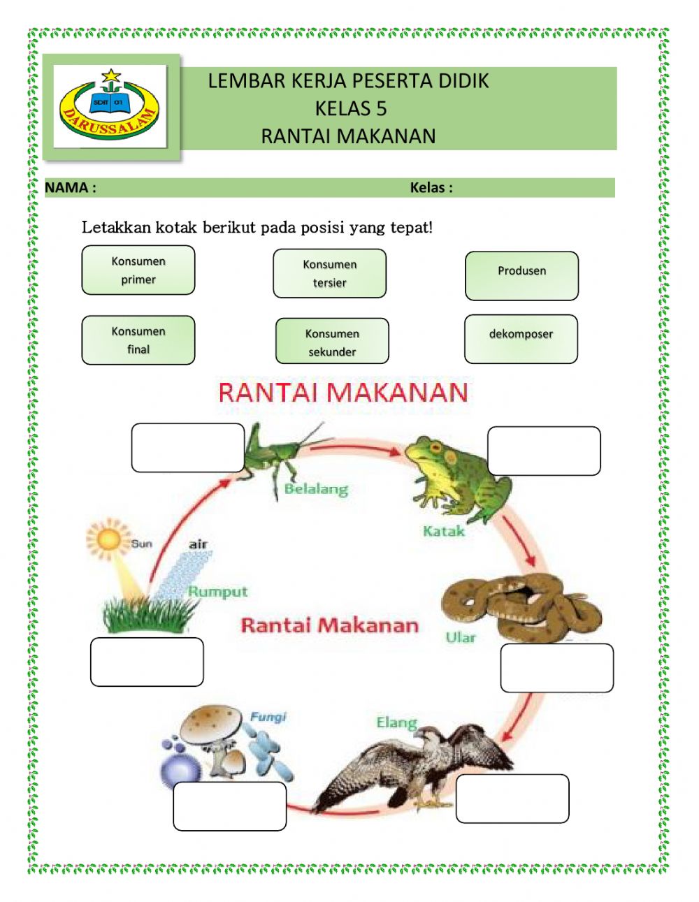 Detail Rantai Makanan Gambar Nomer 48