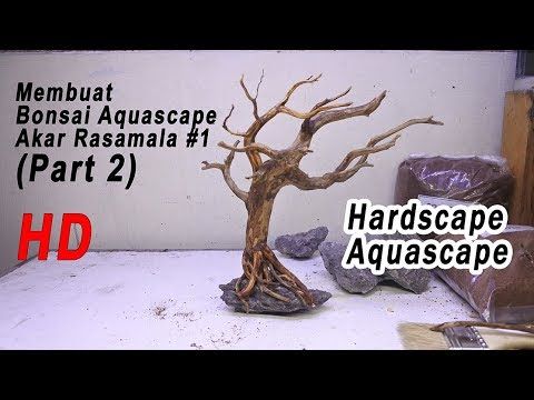 Detail Ranting Aquascape Nomer 31