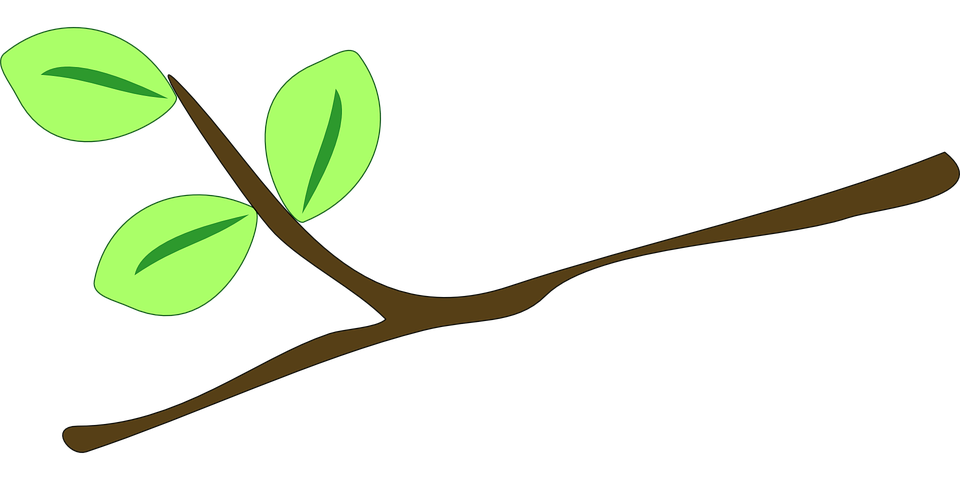 Detail Ranting Vector Nomer 20