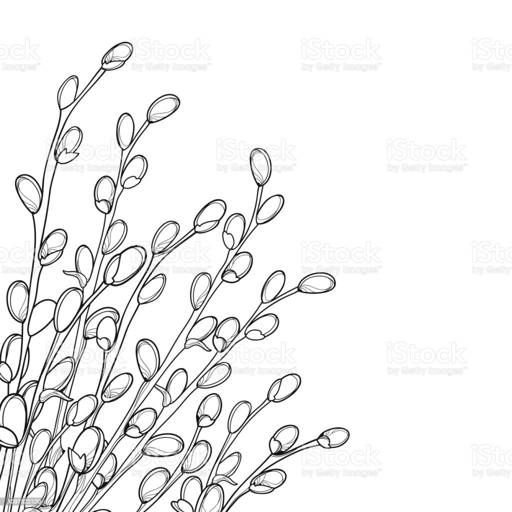 Detail Ranting Vector Nomer 50