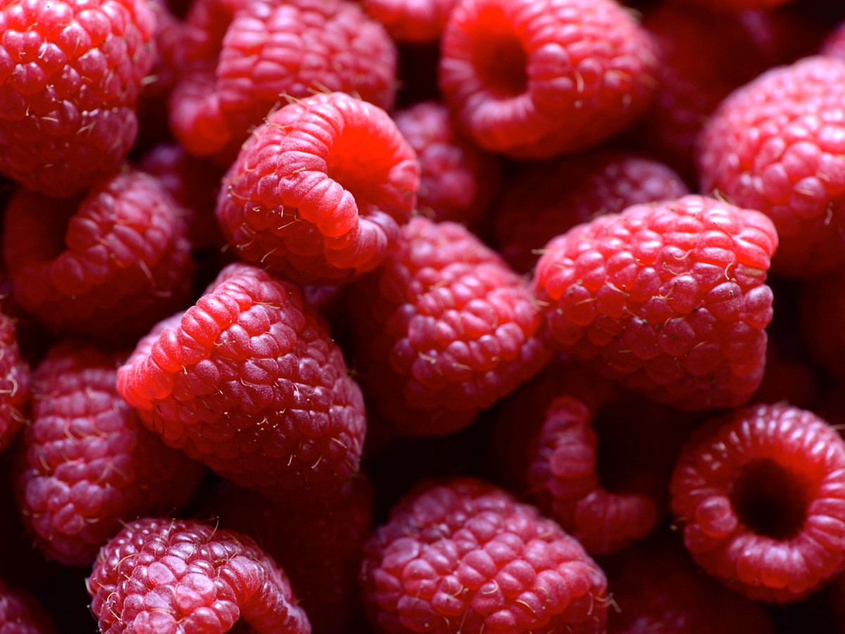 Detail Raspberries Images Nomer 21