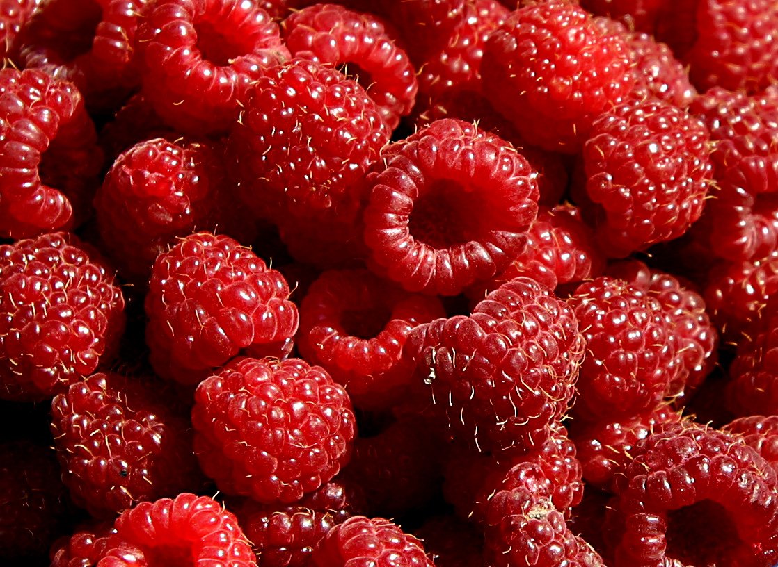 Detail Raspberries Picture Nomer 26