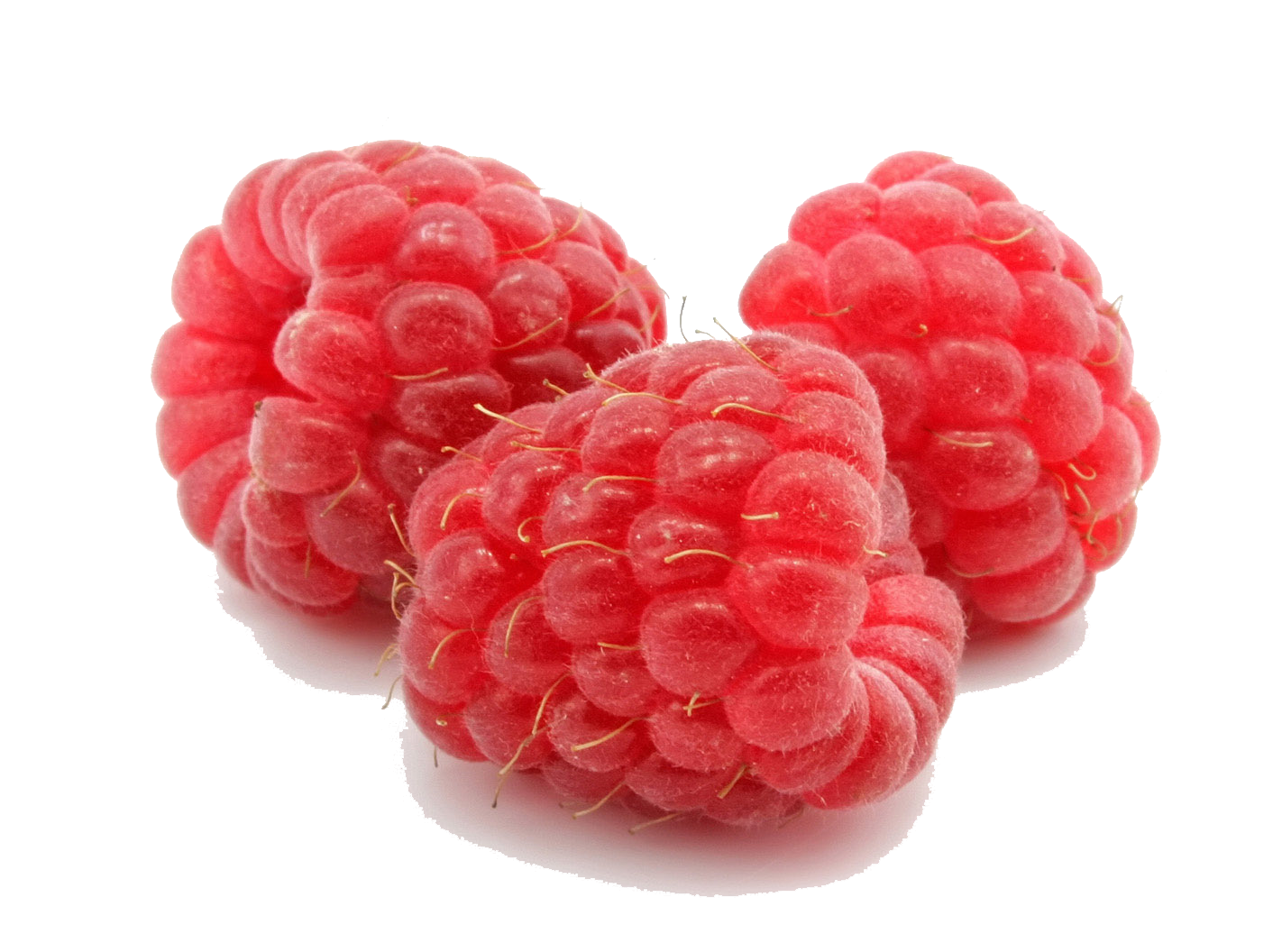 Detail Raspberries Png Nomer 17