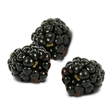 Detail Raspberries Png Nomer 21