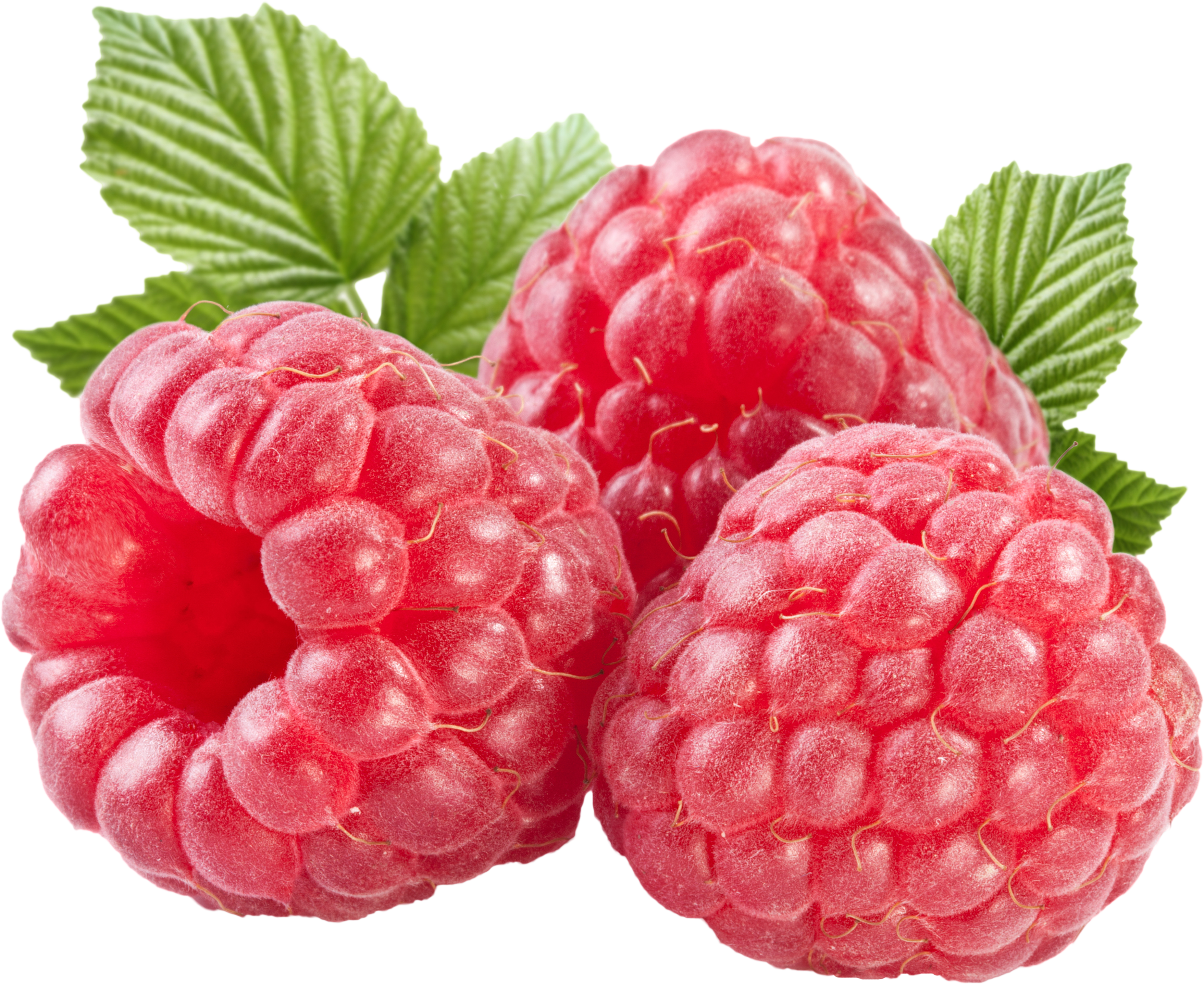 Detail Raspberries Png Nomer 3