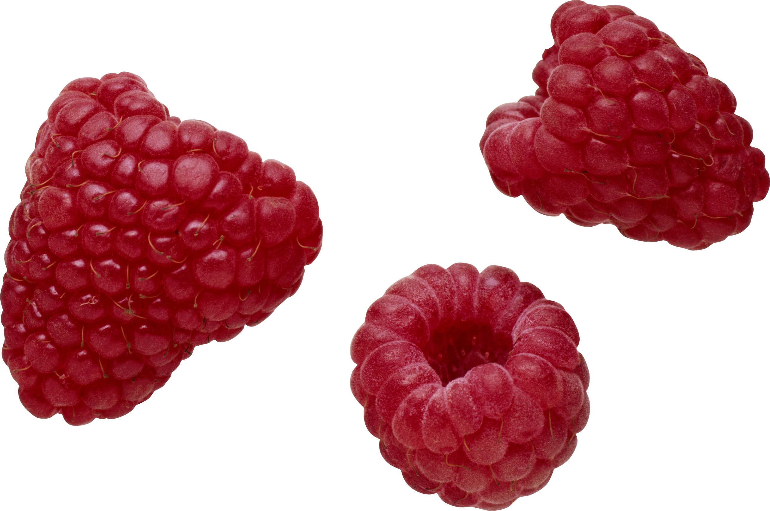 Detail Raspberries Png Nomer 27