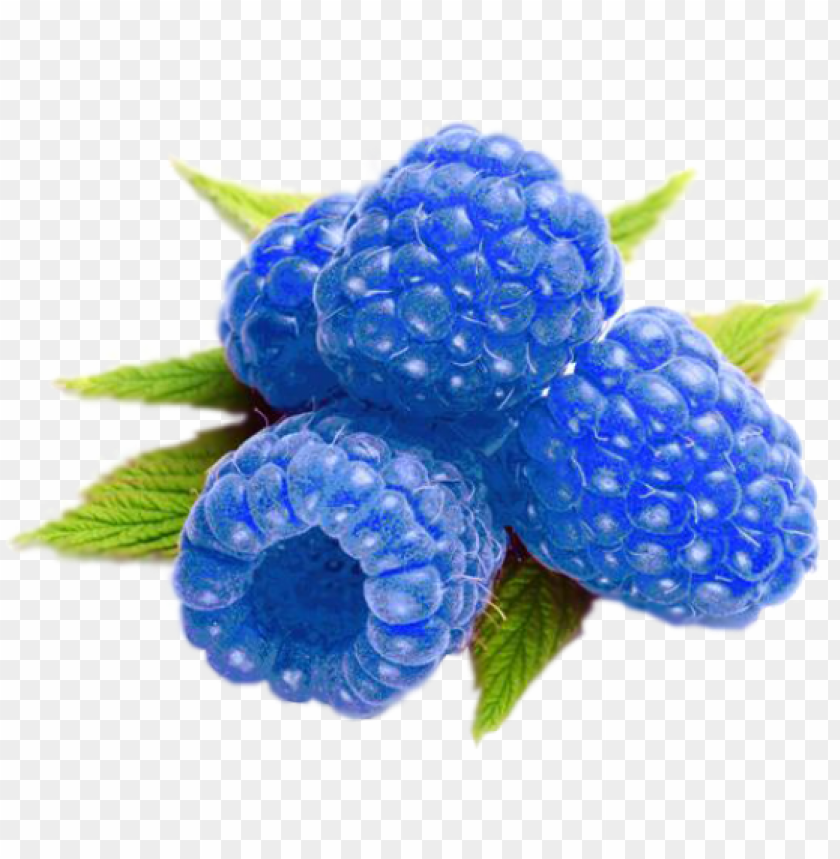 Detail Raspberries Png Nomer 28