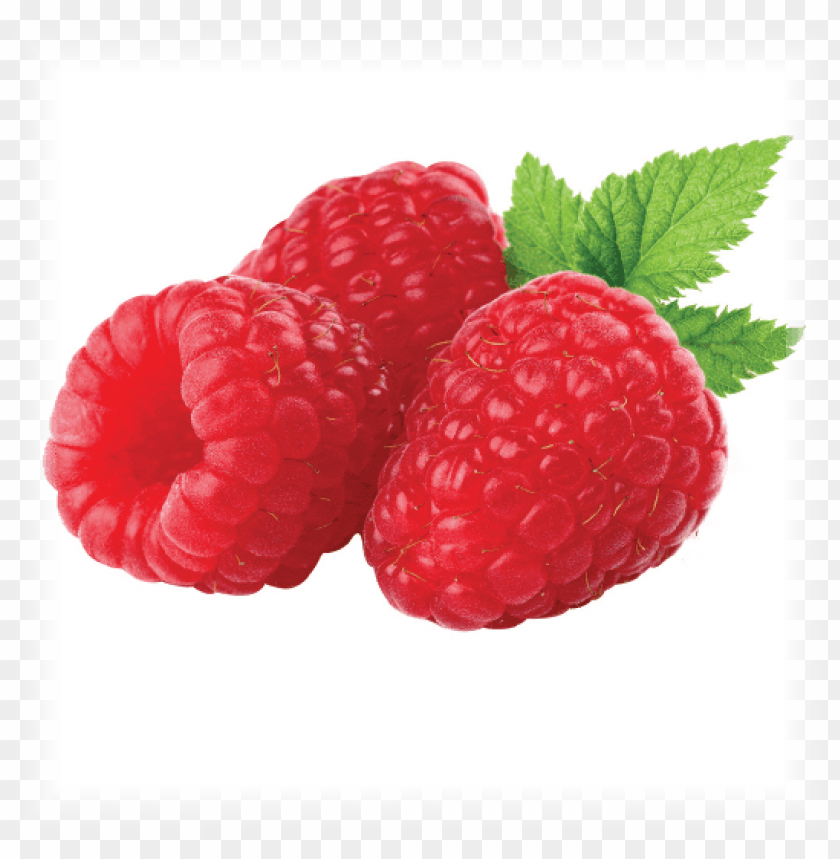 Detail Raspberries Png Nomer 4