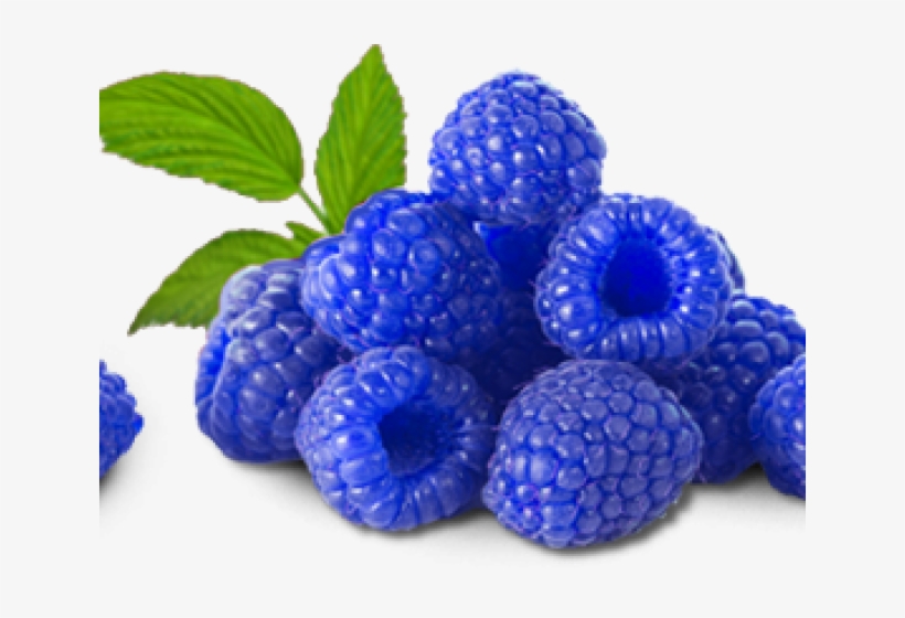 Download Raspberries Png Nomer 44