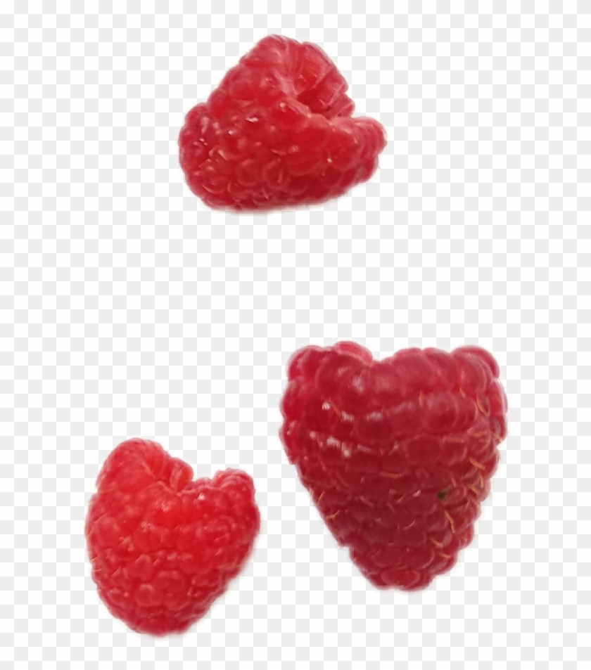 Detail Raspberries Png Nomer 46