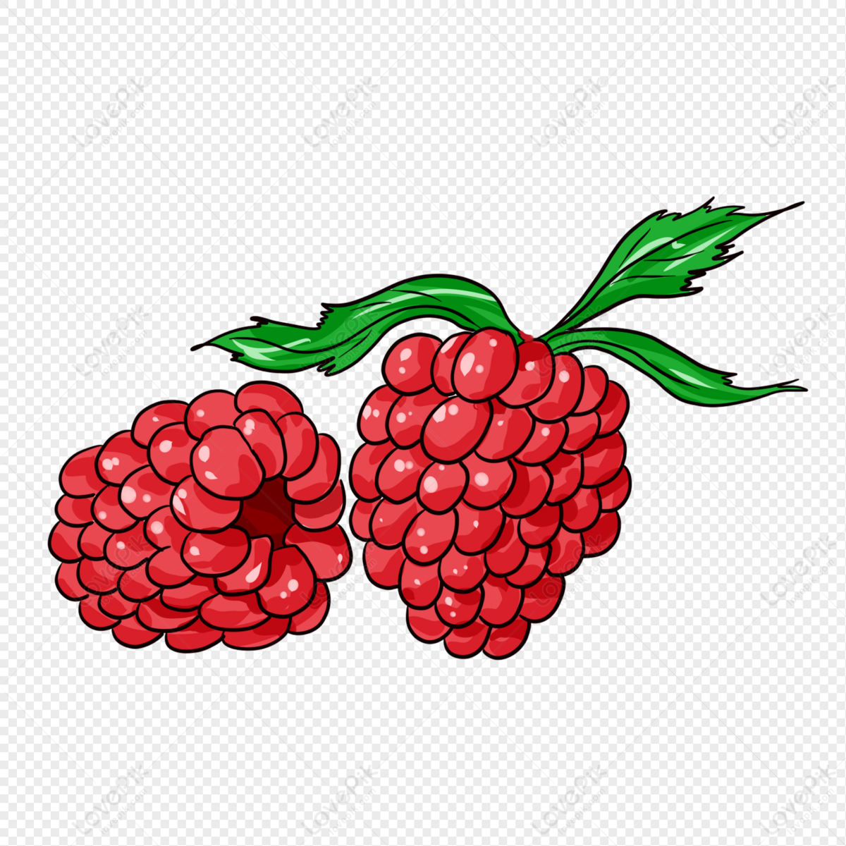 Detail Raspberries Png Nomer 51