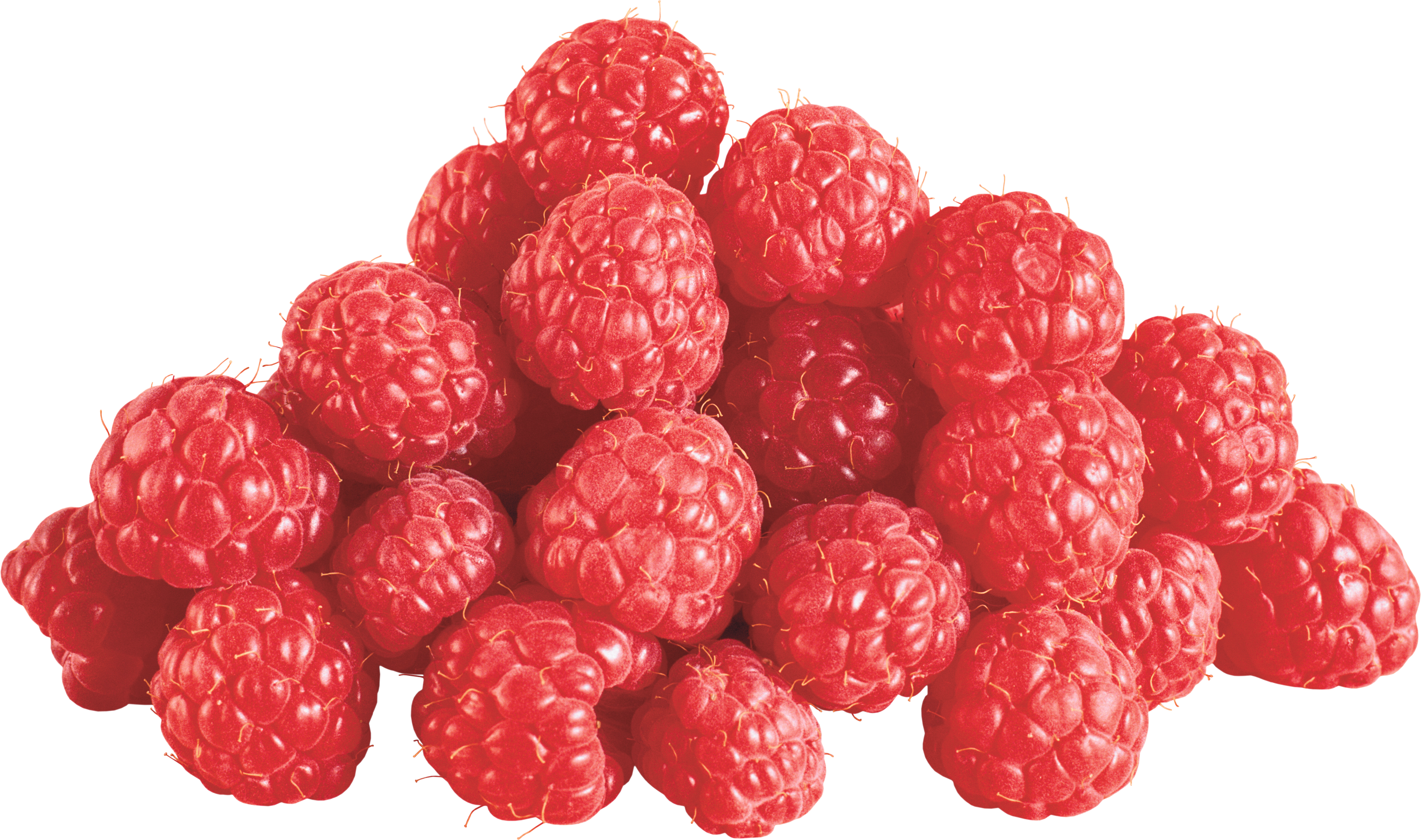 Detail Raspberries Png Nomer 7